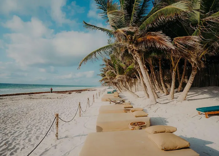 Bright 2br Loft With Rooftop Pool In Downtown Location Tulum