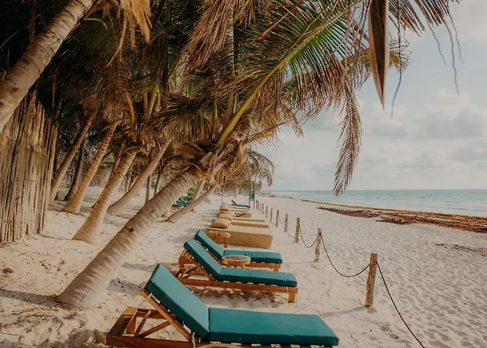 Bright 2br Loft With Rooftop Pool In Downtown Location * Tulum